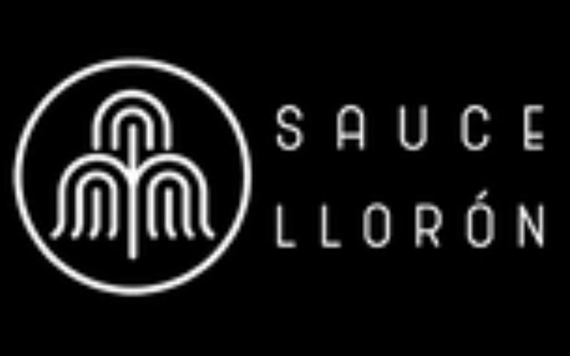 Sauce Llorón